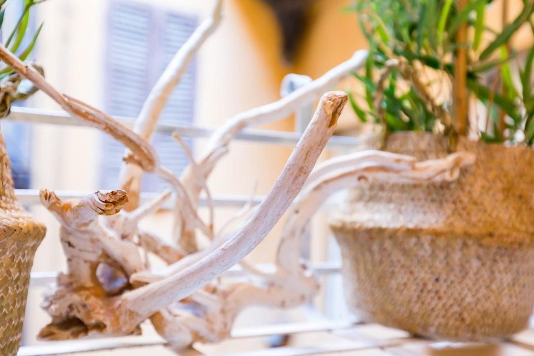 Spanish Step Nest Luxury ローマ エクステリア 写真