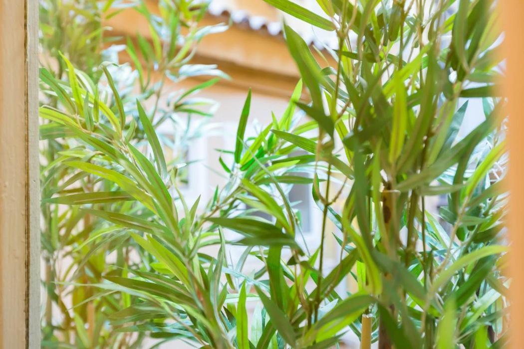 Spanish Step Nest Luxury ローマ エクステリア 写真
